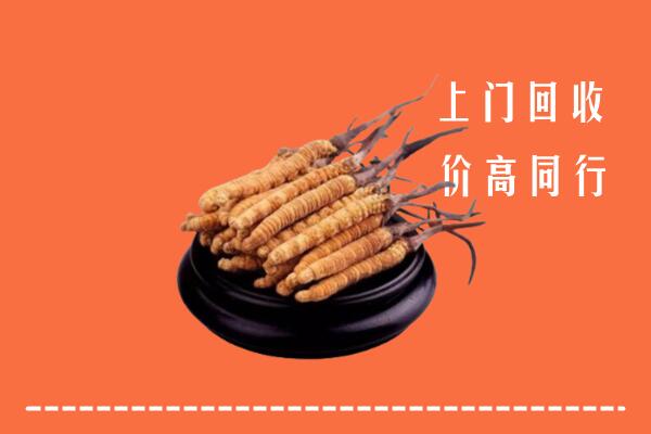 高价求购：集贤县回收散虫草