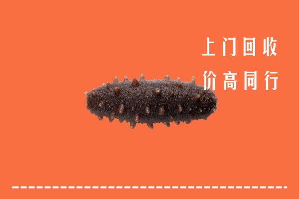 集贤县回收海参