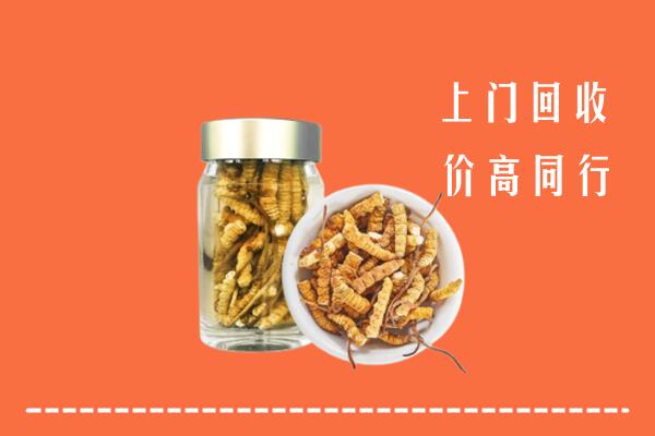 集贤县回收冬虫夏草