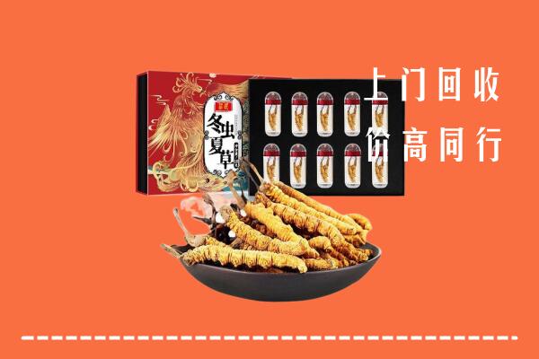 收购行情：集贤县回收虫草
